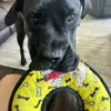 mikepiazza79 - @mikepiazza75 - TikTok