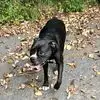 mikepickens0 - @mike.pickens48 - TikTok