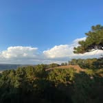 Kitgito Hanoki - @mike_pill_1159 - Instagram