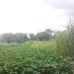 Mike Pindan - Facebook