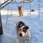 Mike Pires - @pike_mires - Instagram