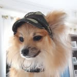 @mikep_ires - Instagram