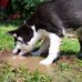Michael Plassmeyer - Facebook