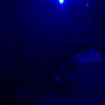 Angel - @mike_platejr - Instagram