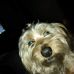 Mike PLuzzi - Facebook