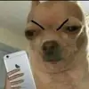 ramonperroloco - @mike_point69 - TikTok