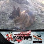 Mike Poisson - @mikehpoisson - Instagram