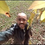 Mike Policarpo - @mike_policarpo - Instagram