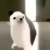 mikepol30 - @mikepol30 - TikTok