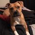 Mike Polak - Facebook