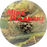 Mike Polanski - @klad_kamrad - Instagram