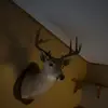Mike Pollitt - @mike.pollitt - TikTok