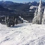 Mike Pool - @mikecanandwill - Instagram