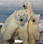 Mike Prill - Facebook