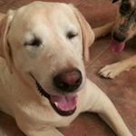Mike Pryor - @pryorcr500 - Instagram