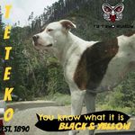 Mike Pryor - @pryor7715 - Instagram