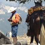mike quanbeck - @mikequanbeck - Instagram