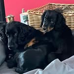 Mike Quick - @mike.quick595 - Instagram