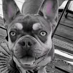 Mike Quick - @quick9938 - Instagram