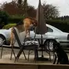 Mike Quinn - @mike.quinn636 - TikTok