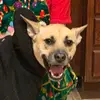 user7769448083792 - @mike.quinones - TikTok