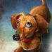 Mike Rader - Facebook