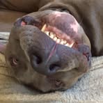 Mike Radley - Facebook