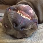 Mike Radley - @radley.mike - Instagram