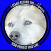 Mike Raynor - @mikeraynor - TikTok