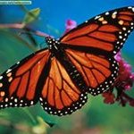 MikeReddicks - @mike_reddicks - Instagram