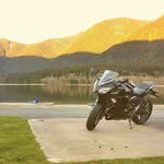 Mike Reddy - @mw.reddy - Instagram