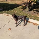 Mike Redman - @mike.redman.948 - Instagram