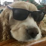 Mike Redman - @mikeredman2718 - Instagram