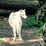 Mike Rettig - @mgrettig - Instagram