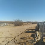 Mike Rezaei - @rezaei.mike - Instagram