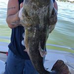 Mike Rickertsen - @mikerickertsen - Instagram