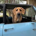 Mike Ricks - @mricks08 - Instagram