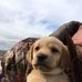 Mike Riddell - Facebook