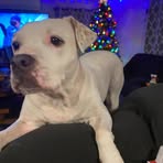 Mike Riedel - Facebook
