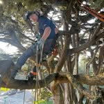 Mike Riedel - @cyclarborist - Instagram