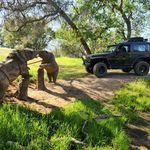 Mike Robison - @mike.robison.3914 - Instagram