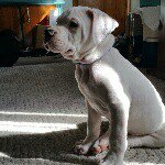 Mike Rohrer - @rohrermike - Instagram