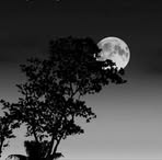 Mike Roll - Facebook