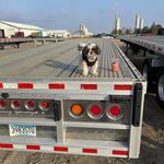 Mike Rood - @mike.rood.75 - Instagram