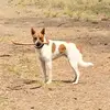 Mike Rood - @mike.rood - TikTok