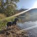 Michael Rosner - Facebook