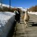 Mike Rosner - Facebook