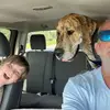 mikerowley72 - @mikerowley72 - TikTok