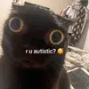 mikey rowley - @mikeyrowley - TikTok