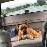 Mike Ruble - @ruble_mike - Instagram